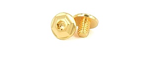 Airsoft Masterpiece Infinity Grip Screw for Hi-Capa Pistols [Version 1] (GOLD)
