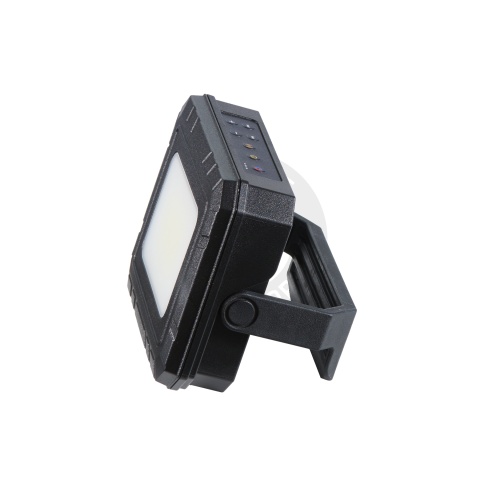 FMA Multi-functional Emergency Flashlight/Radio - (Black)