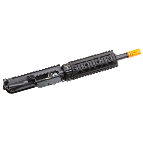 Golden Eagle 10