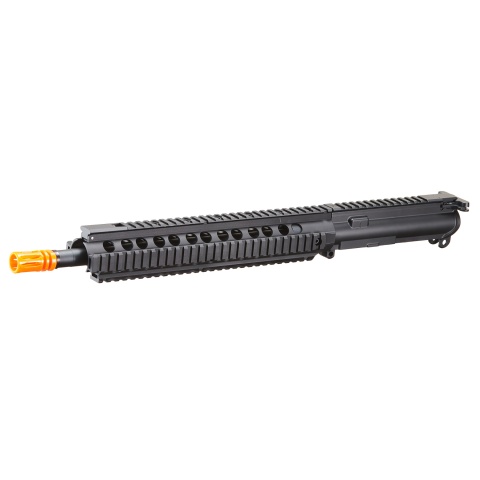 Golden Eagle 14