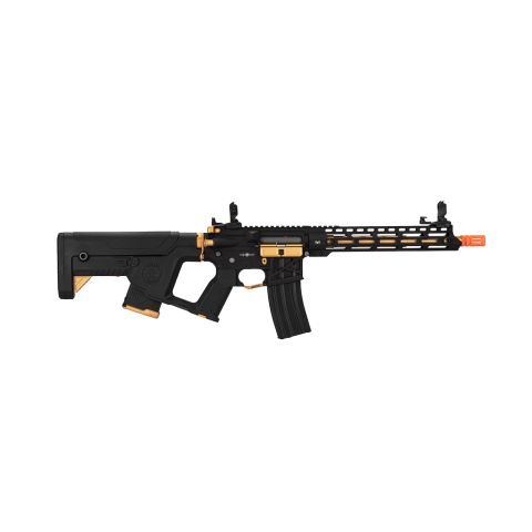 Lancer Tactical Enforcer Blackbird Skeleton AEG w/ Alpha Stock (Color:  Black & Gold)