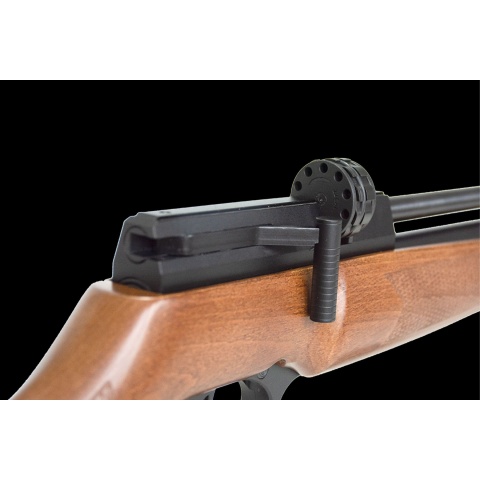 Snowpeak PR900W G3 PCP .22 Caliber Air Rifle w/ Wood Stock