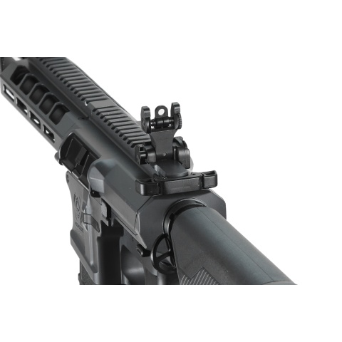 Classic Army DT-4 Double Barrel Airsoft M4 AEG Rifle (Color: Grey)