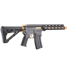 Zion Arms R15 Mod 1 Long Rail Airsoft Rifle with Delta Stock (Color: Black/Gold)