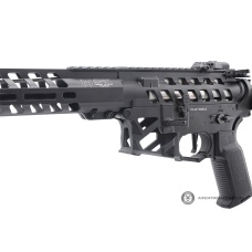 Arcturus x C.A.T. AR-15 Legend 10