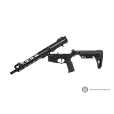 Arcturus x C.A.T. AR-15 Explorer 10