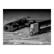 ASG 1911 US-C CO2 Blowback Airgun Pistol