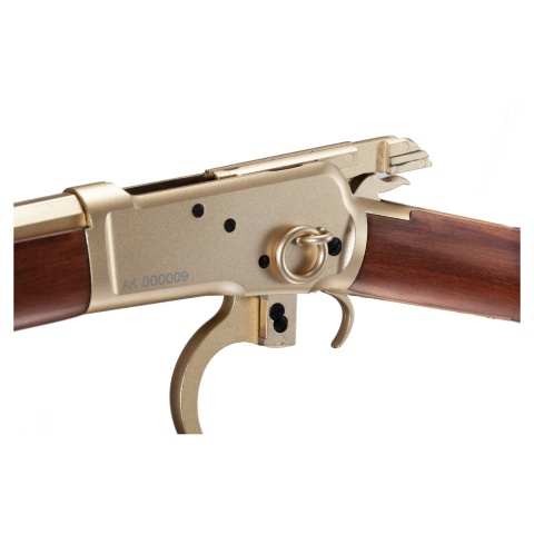 Atlas Custom Works M1873 