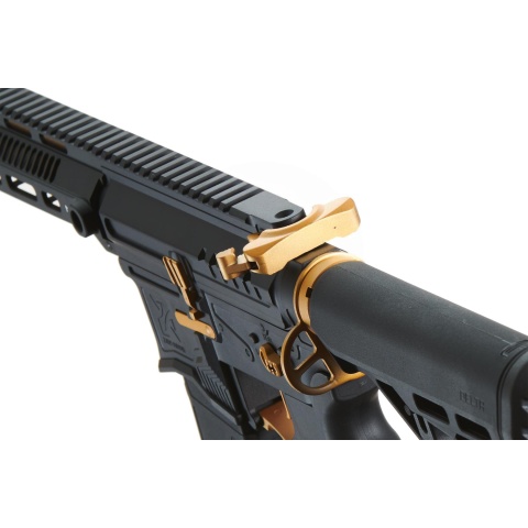 Zion Arms R15 Mod 1 Long Rail Airsoft Rifle with Delta Stock (Color: Black/Gold)