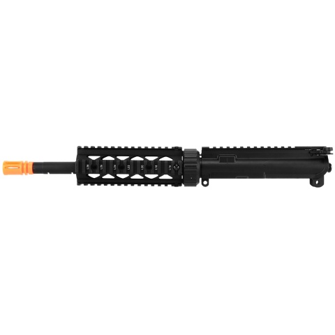 Golden Eagle 10