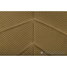 Flyye Industries MOLLE FAPC Gen2 Tactical Vest w/ MOLLE Cummerbund - COYOTE BROWN