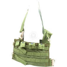 Flyye Industries MKI MOLLE Chest Rig - OD