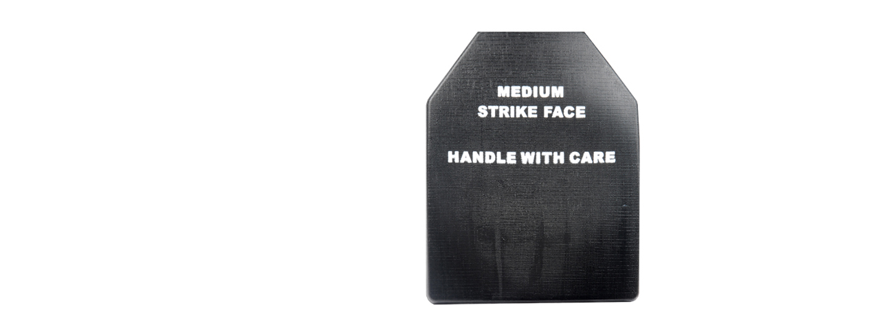 AC-152B Dummy Ballistic Plate - Click Image to Close