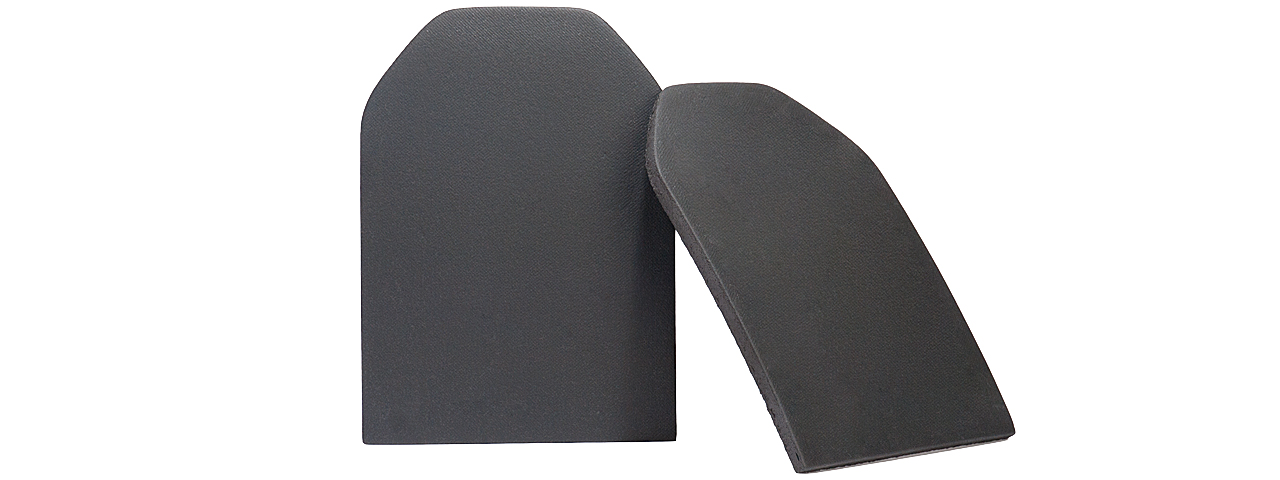 AC-5116 DUMMY PLATES SET OF 2 ( 9" x 13" x 0.5" ) - Click Image to Close