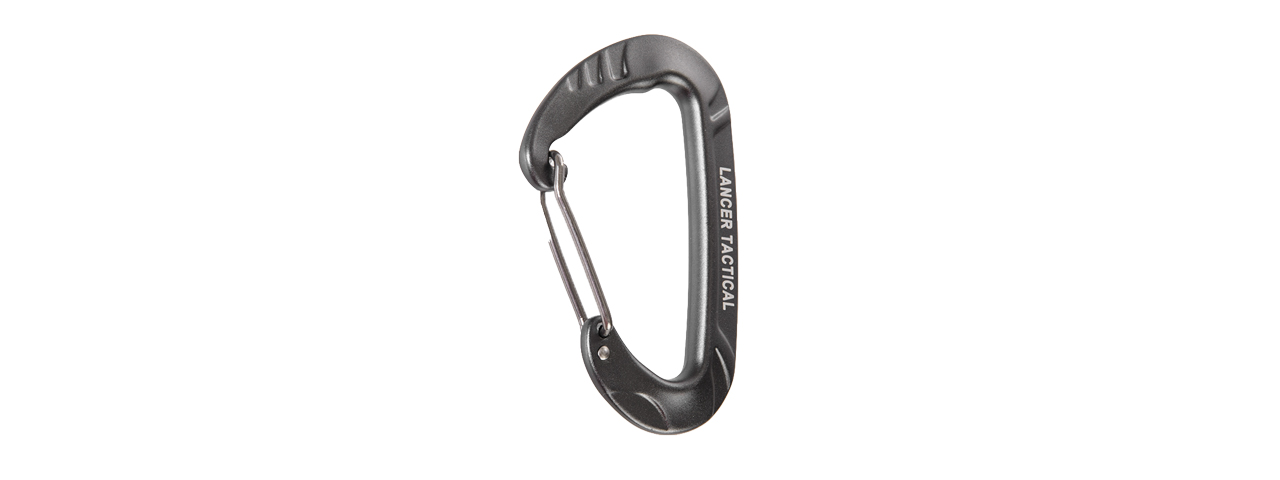 CA-5174 ALUMINUM WIREGATE CARABINER (GRAY) - Click Image to Close