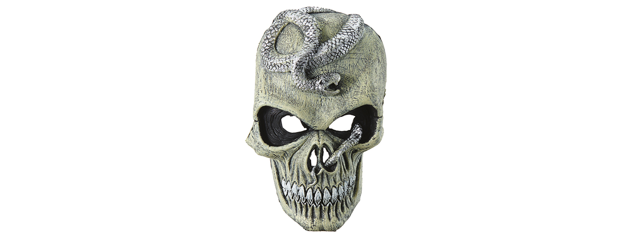 Halloween Skull Mask - Click Image to Close