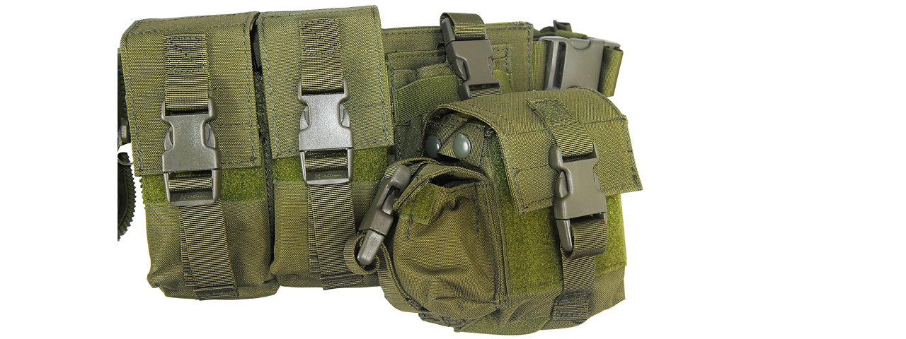 CA-317G T1G LOAD BEARING CHEST RIG w/ZIPPER (COLOR: OD GREEN) - Click Image to Close