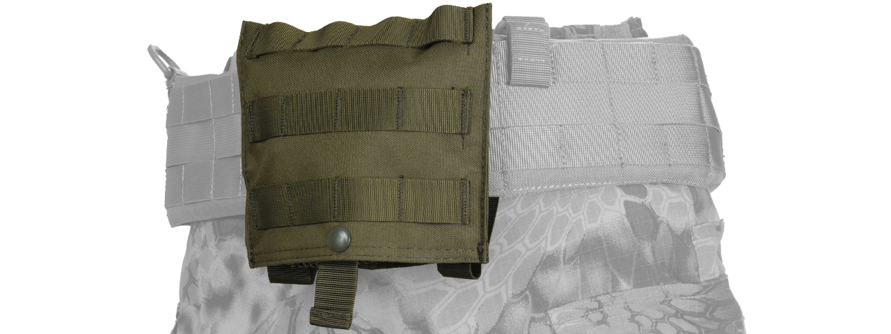 CA-389G MOLLE PLATFORM FOLD-AWAY NETTING DUMP POUCH (OD GREEN) - Click Image to Close
