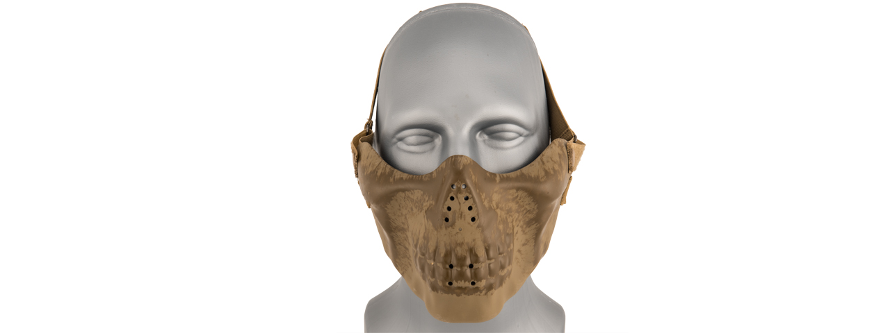 AC-587GG SKULL HALF-FACE MASK (DRY BONES) - Click Image to Close