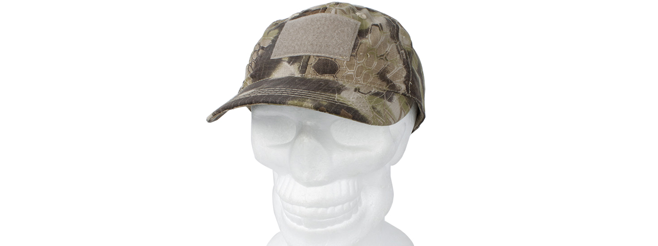 T1249-H VELCRO BASEBALL CAP (HLD)