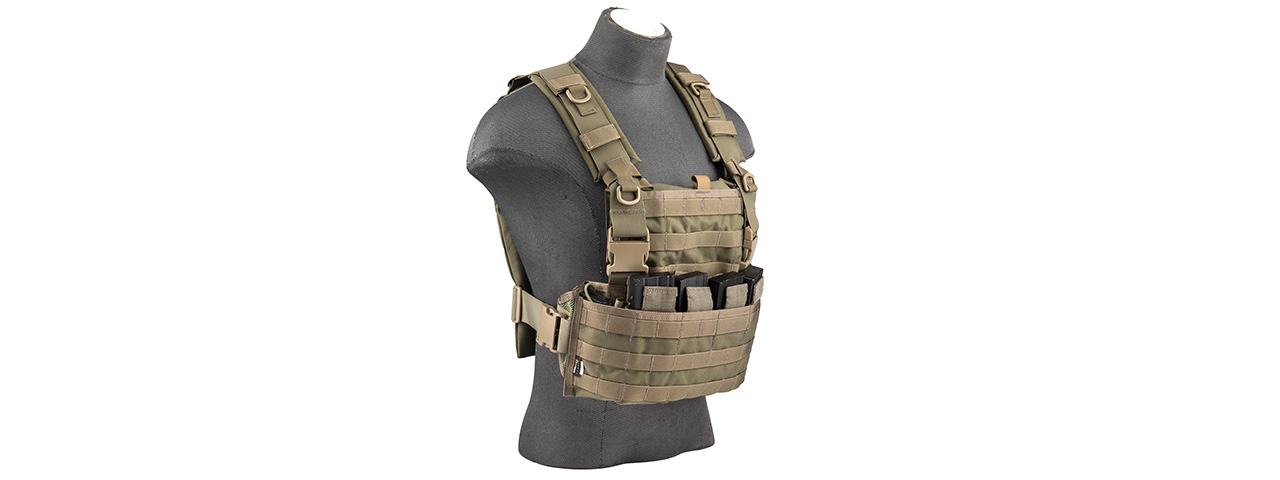 FLYYE INDUSTRIES 1000D CORDURA WSH MOLLE CHEST RIG (RANGER GREEN) - Click Image to Close