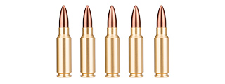 SG-06 DUMMY 7.62MM AK47 BULLETS