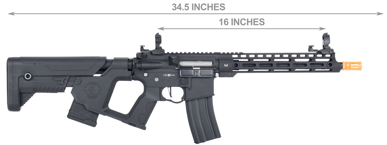 Lancer Tactical Enforcer BLACKBIRD AEG Rifle w/ Alpha Stock [LOW FPS] (BLACK) - Click Image to Close
