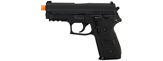 WE Tech F229R Series Gas Blowback GBB Airsoft Pistol (BLACK)