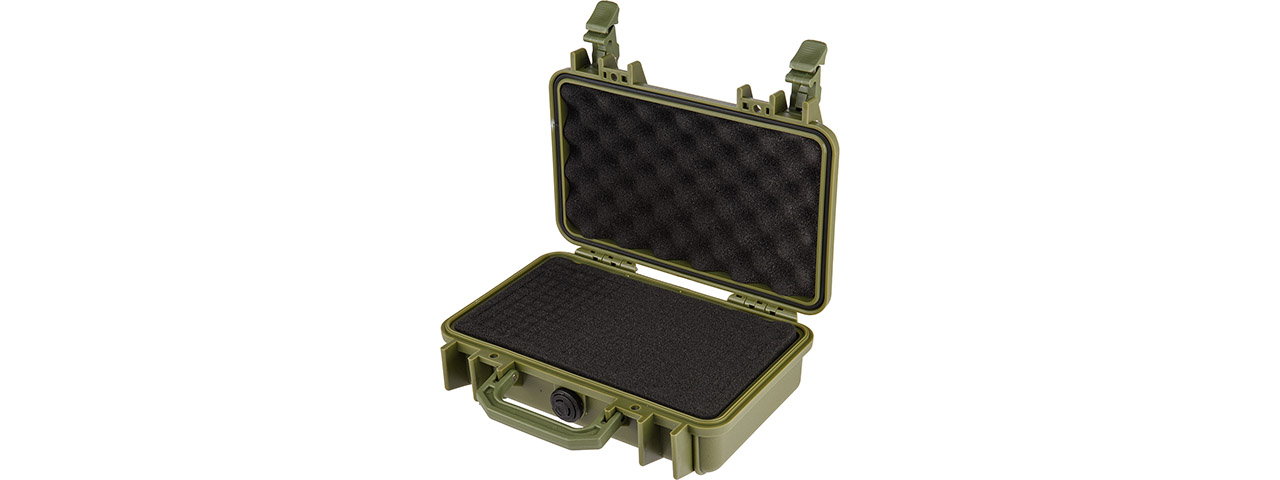 Protective Pistol Case (OD)