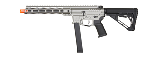 Zion Arms R&D Precision Licensed PW9 Mod 1 Long Rail Airsoft Rifle with Delta Stock (Color: Grey)