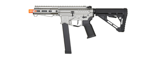 Zion Arms R&D Precision Licensed PW9 Mod 1 Airsoft Rifle with Delta Stock (Color: Grey)