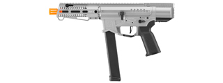 Zion Arms R&D Precision Licensed PW9 Mod 0 Airsoft Rifle (Color: Gray)