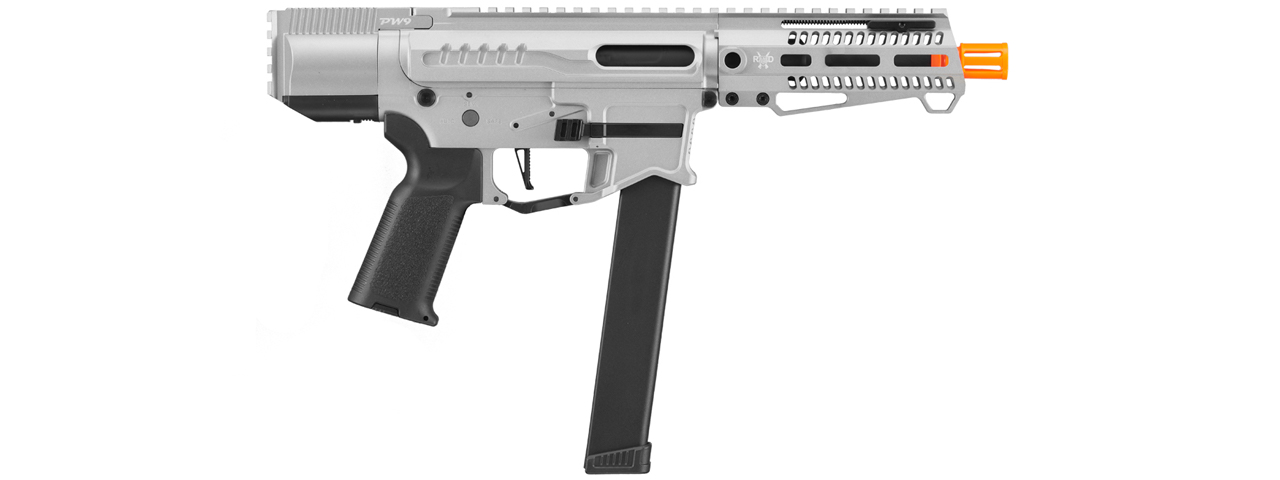 Zion Arms R&D Precision Licensed PW9 Mod 0 Airsoft Rifle (Color: Gray) - Click Image to Close