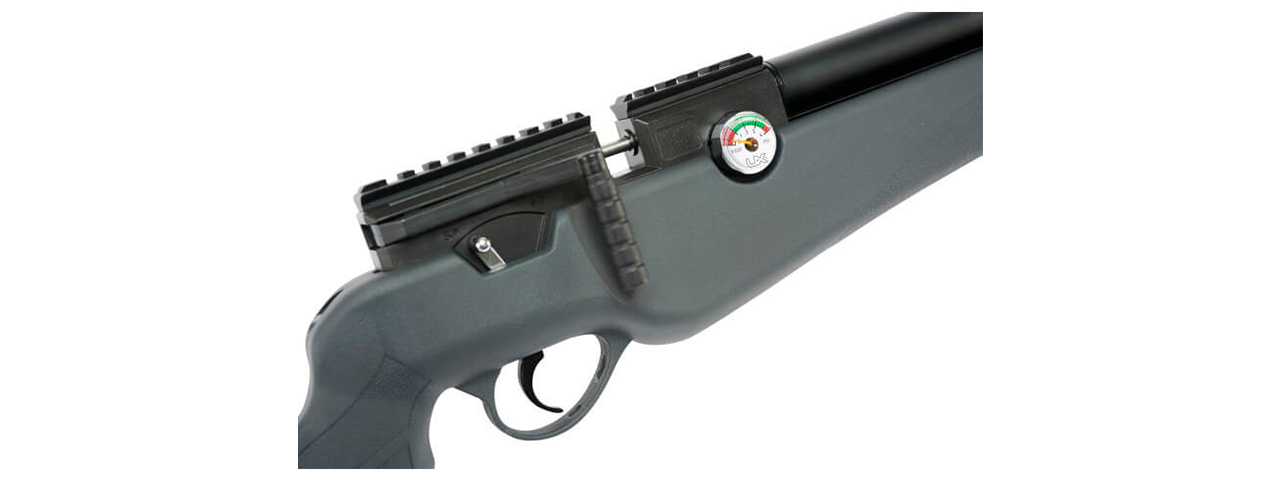 Umarex Origin .22 cal PCP Air Rifle with High Pressure Air Hand Pump - Click Image to Close