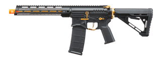 Zion Arms R15 Mod 1 Long Rail Airsoft Rifle with Delta Stock (Color: Black/Gold)